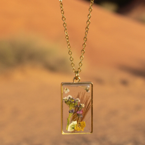 Gold Meadow frame  and chain